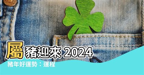 豬年運勢|【2024豬年】生肖豬2024好運滾滾來！屬豬運勢、幸。